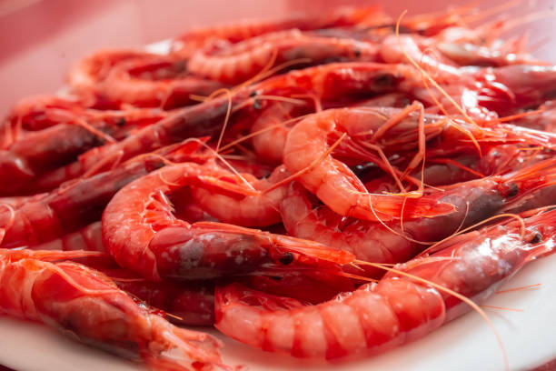 plato de gambas mirando hacia la derecha. especie llamada gamba roja de garrucha, almería, andalucía; españa - camarón marisco fotografías e imágenes de stock