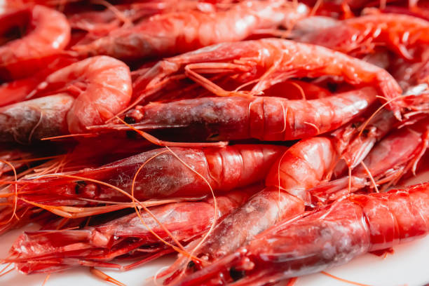 Prawn dish facing left. Species called Red Gamba from Garrucha, Almeria, Andalucia; Spain Prawn dish facing left. Species called Red Gamba from Garrucha, Almeria, Andalucia; Spain crab seafood stock pictures, royalty-free photos & images