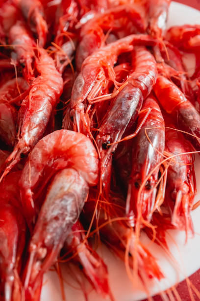 istock Prawn dish facing down. Species called Red Gamba from Garrucha, Almeria, Andalucia; Spain 1345307813