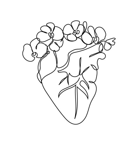 ludzkie serce z wieńcem storczyków jedna linia zestawu sztuki. ciągłe rysowanie linii narządów wewnętrznych i kwiatów. - flower anatomy stock illustrations