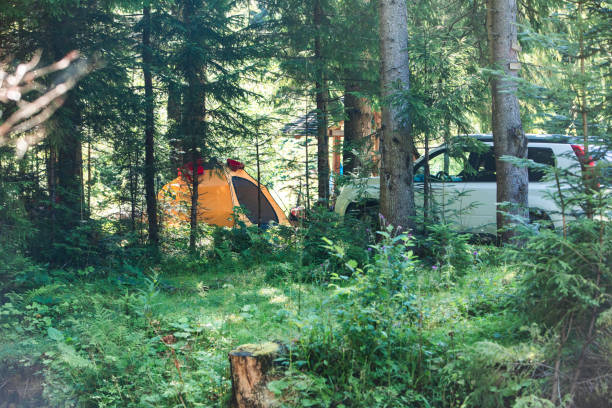 istock yellow tent with suv car in forest 1345310692