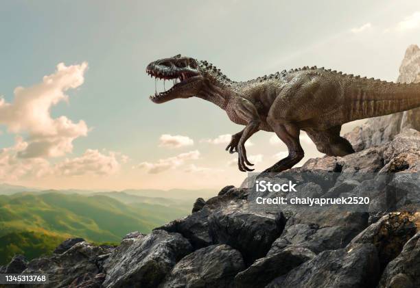 Dinosaurio Tyrannosaurus Rex En La Cima De La Roca De La Montaña Foto de stock y más banco de imágenes de Dinosaurio