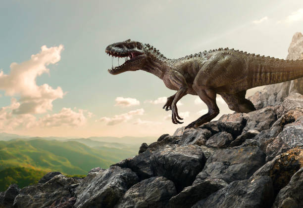 dinozaur tyrannosaurus rex na szczycie górskiej skały - carnivore zdjęcia i obrazy z banku zdjęć