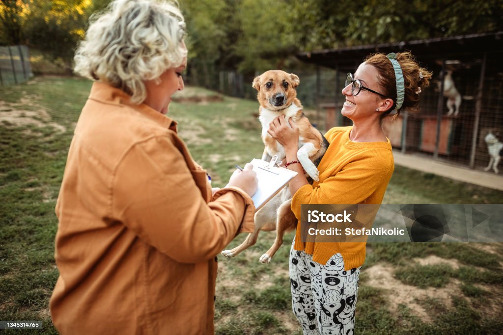 We love animals Two women playing and training a dog in a dog shelter. He wants to adopt a dog. Animal Shelter Stock Photo