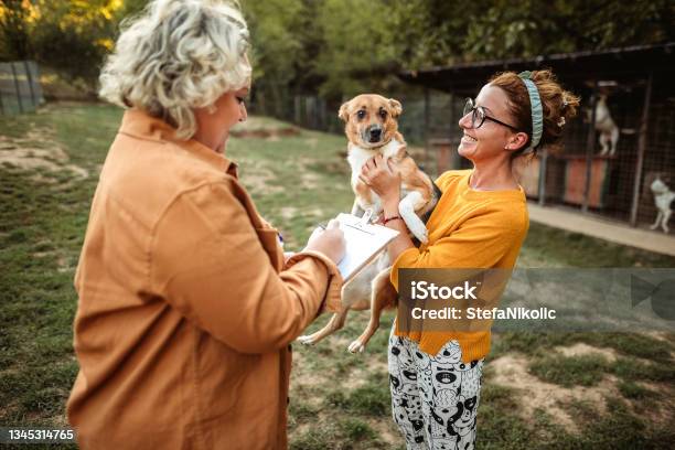 We Love Animals Stock Photo - Download Image Now - Animal Shelter, Dog, Sheltering