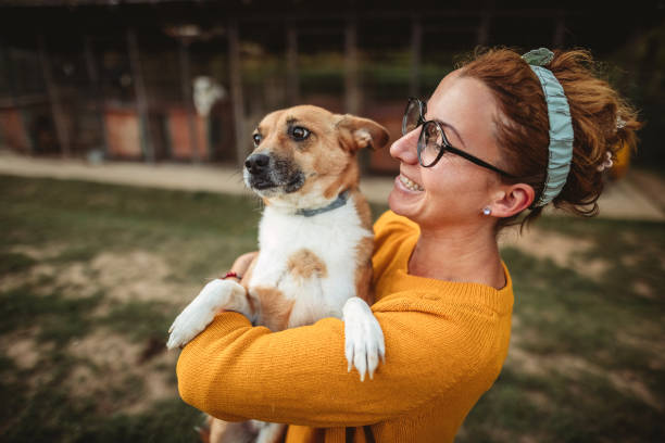 istock Young woman in animal shelter 1345314783