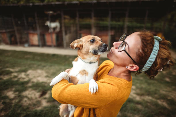 jeune femme dans un refuge pour animaux - refuge pour animaux photos et images de collection