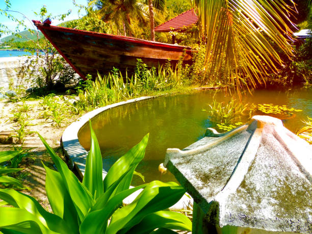 giardino tropicale di lusso, laghetto e vegetazione lussureggiante - luxury hotel palm tree lush foliage asia foto e immagini stock