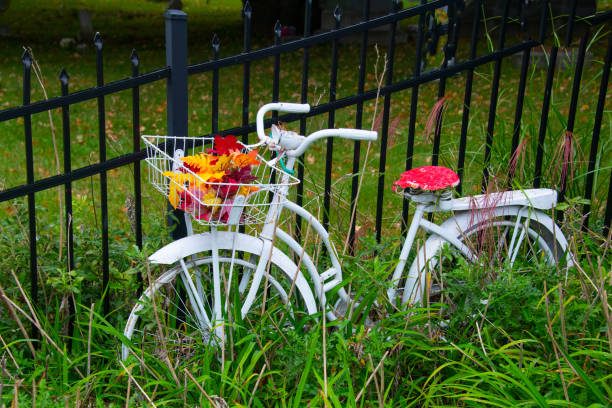 Old Antique Bicycle-Hamilton County, Indiana