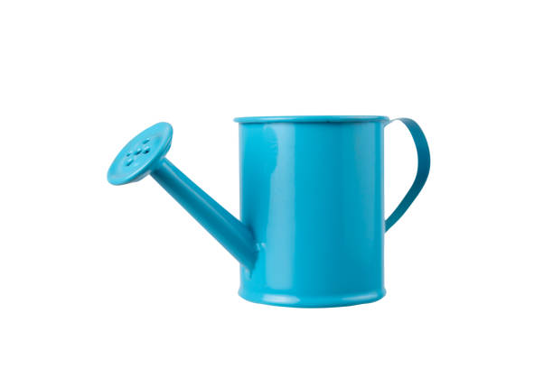 istock Blue watering can with handle on white on isolated background 1345319010