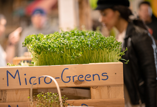 Trays of locally grown greens are seen displayed at a local market.  They are labeled accordingly and a woman dressed casually in a black hat and leather jacket can be seen shopping in the background.
