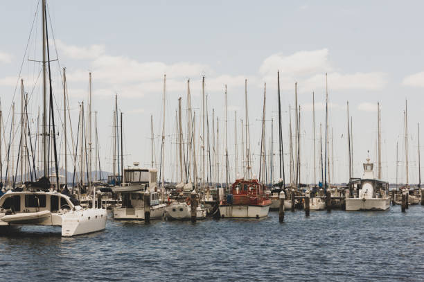 istock Yachts tied-up in a bay during a cloudy afternoon 1345322270