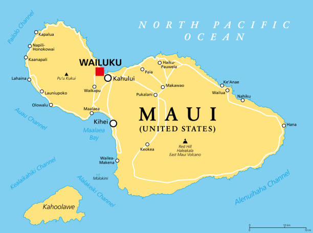 maui, hawaii, vereinigte staaten, politische karte, mit der hauptstadt wailuku - hawaii inselgruppe stock-grafiken, -clipart, -cartoons und -symbole