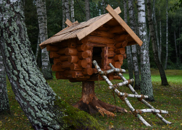 istock A hut on chicken legs from a fairy tale in the forest 1345326558