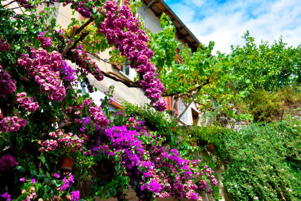 istock Limone sul Garda Italy 1345327870