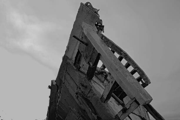 Left to rot.