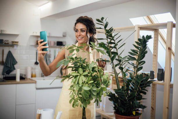 istock Young woman taking a selfie with her houseplants 1345333936