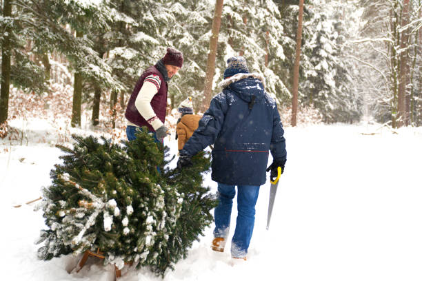 istock Family preparing for Christmas time 1345334082