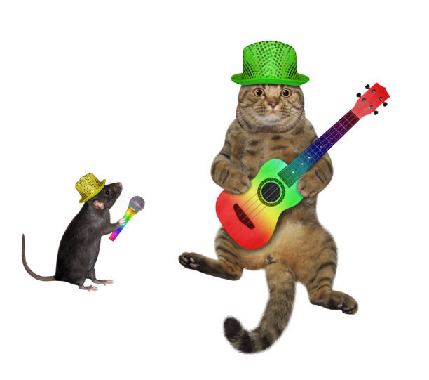 istock Cat playing acoustic guitar with rat 1345336397