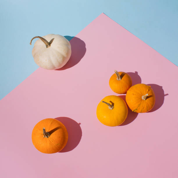 Group of colorful pumpkins against pink and pastel blue background.
