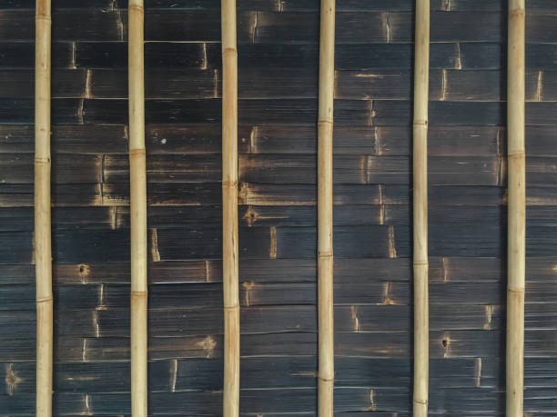detalles pisos de textura de bambú - bamboo shoot bamboo indoors plant fotografías e imágenes de stock