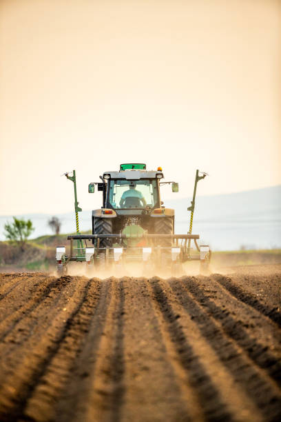 istock Farmer seeding, sowing crops at field. 1345339252