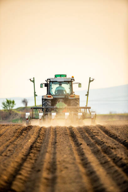Farmer seeding, sowing crops at field. Farmer seeding, sowing crops at field. Sowing is the process of planting seeds in the ground as part of the early spring time agricultural activities. agricultural machinery stock pictures, royalty-free photos & images