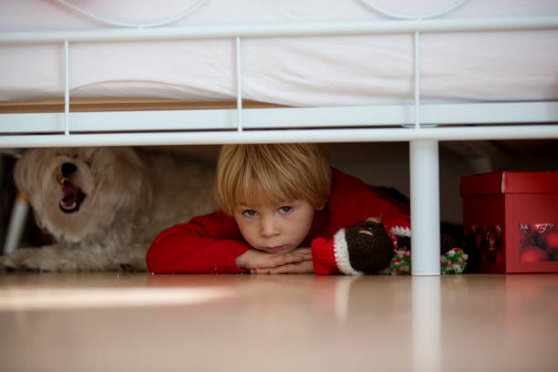 bambino piccolo, nascosto sotto il letto con il suo cane da compagnia, cucciolo bianco maltese, spaventato - under attack foto e immagini stock