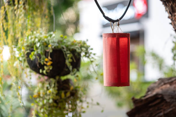 A red cloth lighting lantern which is hanged down from tree branch for gardening decoration. Outdor decoration object photo with nature environment as background.