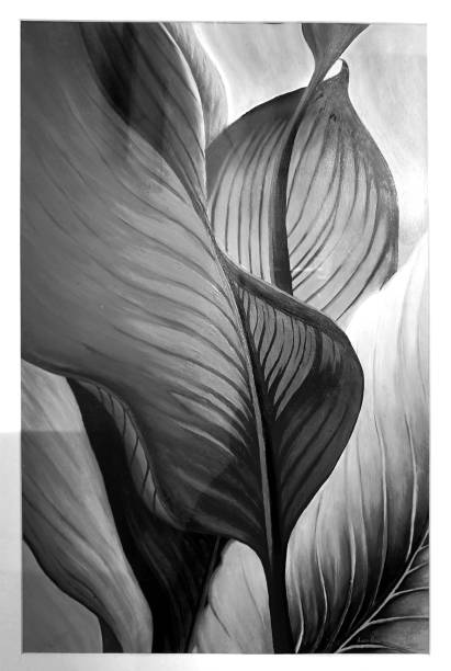 Black and White Oil Painting. Red Banana Leaf oil painting photos stock pictures, royalty-free photos & images