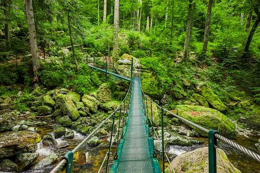 Suspension bridge in the Buchberger Leite in the Bavarian Forest