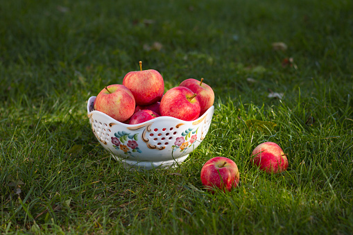 Fresh apples in a ceramic bowl on grass background