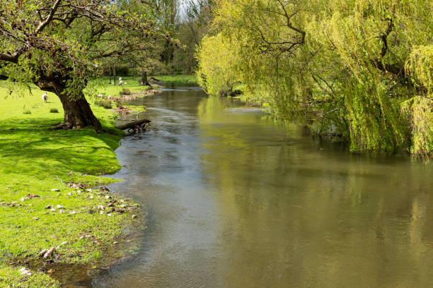 istock River Stour near Chilham, Canterbury in Kent, England 1345355466