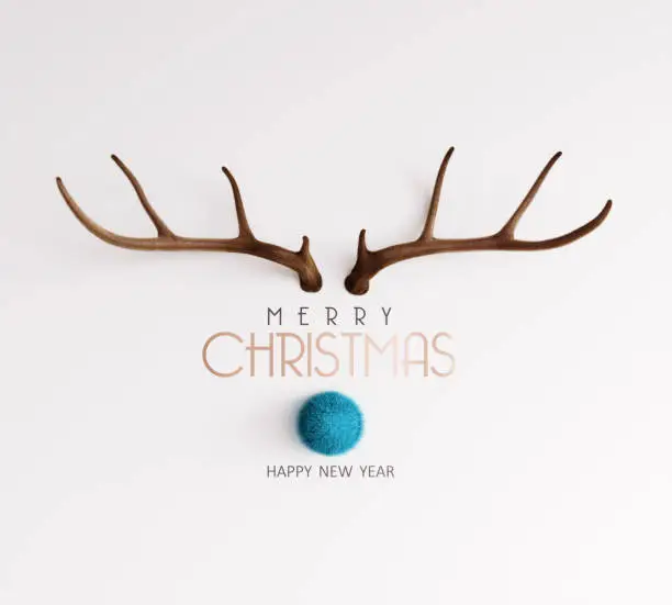 Photo of Reindeer with blue nose with Merry Christmas text on white background