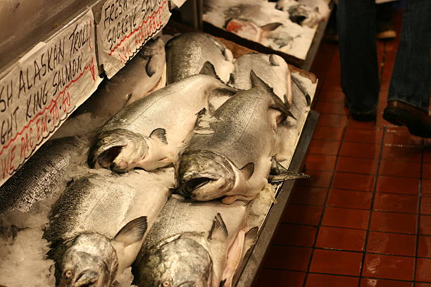 de poissons market - freshness seafood crushed ice salmon photos et images de collection