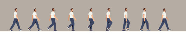 Set of human walk Set of human walk. Man walks, many frames, images for creating animation. Pictures repeating in a circle, constant movement, proplr. Cartoon flat vector illustration isolated on white background human arm stock illustrations
