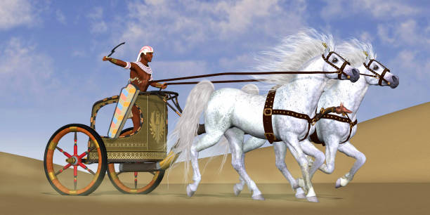 Egyptian Horse Chariot An Egyptian warrior rides in a chariot with a team of Arabian horses to a battle in ancient Egypt. chariot photos stock pictures, royalty-free photos & images