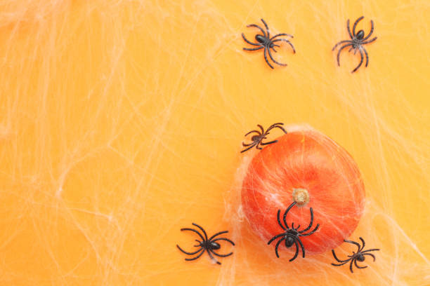istock Halloween pumpkin with spider web and black spiders on orange background. 1345360462
