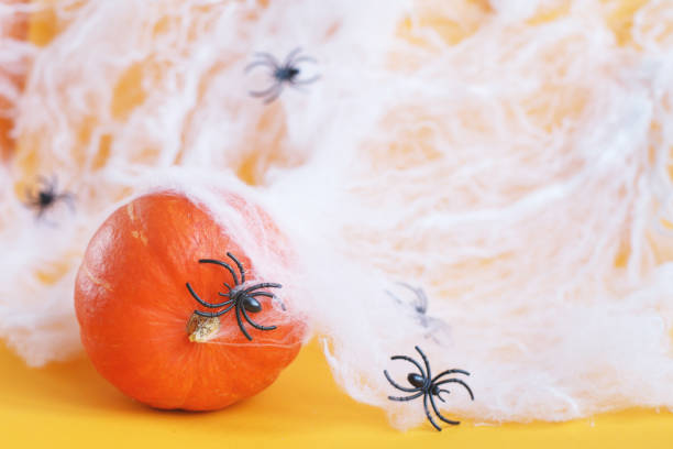 istock Halloween pumpkin with spider web and black spiders on orange background. 1345360588