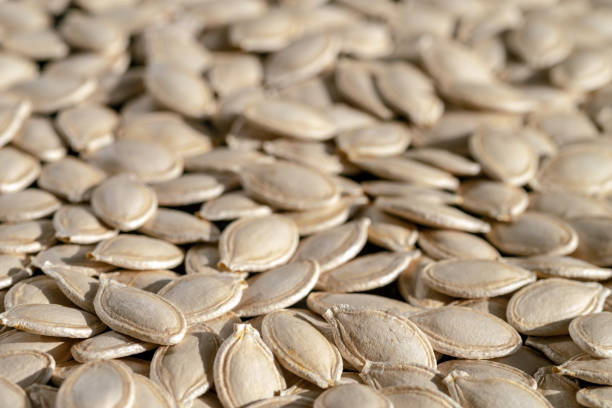 Texture of pumpkin seeds lit by bright light. Natural background. Selective focus.