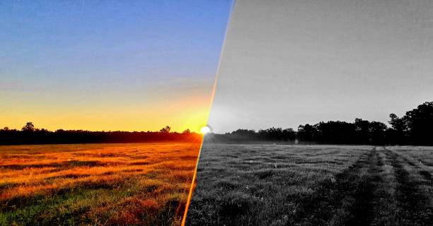istock Sunlight arrives into a gray day, 1345361670
