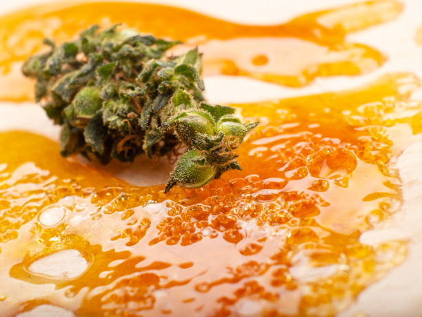 concentrate golden resin wax and dry green cannabis bud with high thc close up concentrate golden resin wax and dry green cannabis bud with high thc close up. rosin stock pictures, royalty-free photos & images