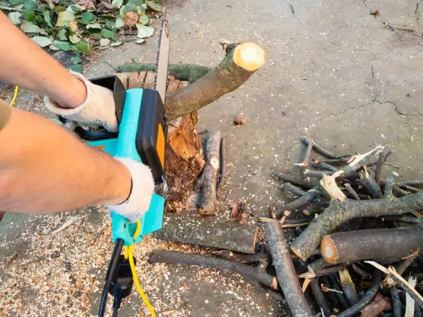 point-of-view of sawing tree branch with electric chain saw in backyard