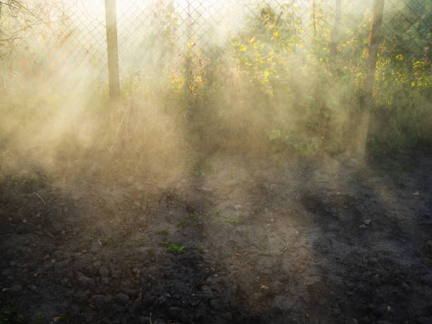 istock sun rays in smoke from burning plants over garden 1345364444