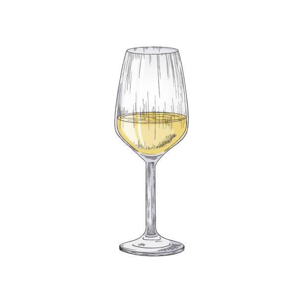 화이트 포도 와인 또는 샴페인 유리 에 고립 된 벡터 그림 - chenin blanc stock illustrations