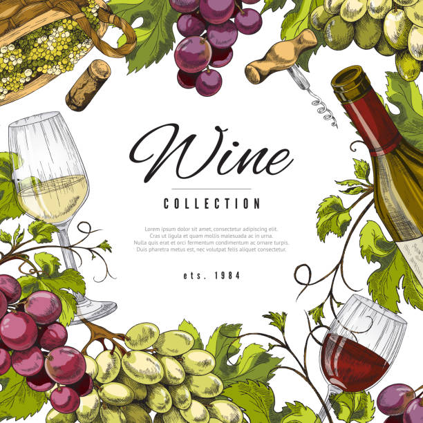 Wine background or label with grape bunches engraving vector illustration. Hand drawn wine background or label with grape bunches and glasses of red wine, engraving sketch style vector illustration. Winery production label design. grape vine vineyard wine stock illustrations