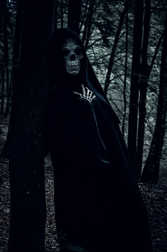 Scary ghost silhouette in black costume. Witchcraft. Halloween outfit. Magical forest. Color manipulation. Black robe