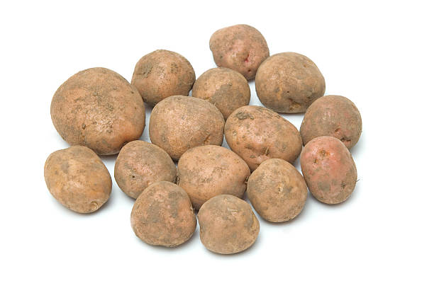 istock Potato tubers 134536958