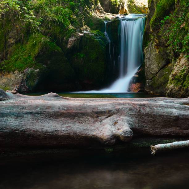 wodospad schwarzwald - black forest waterfall triberg landscape zdjęcia i obrazy z banku zdjęć