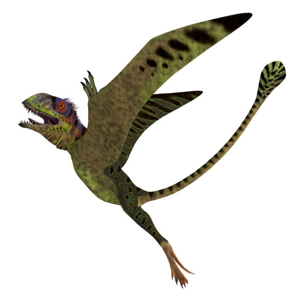 istock Peteinosaurus Reptile Rising 1345372722